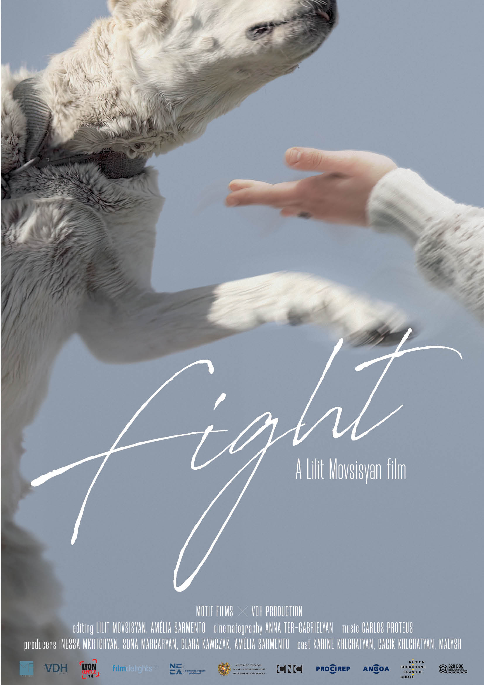 The Fight