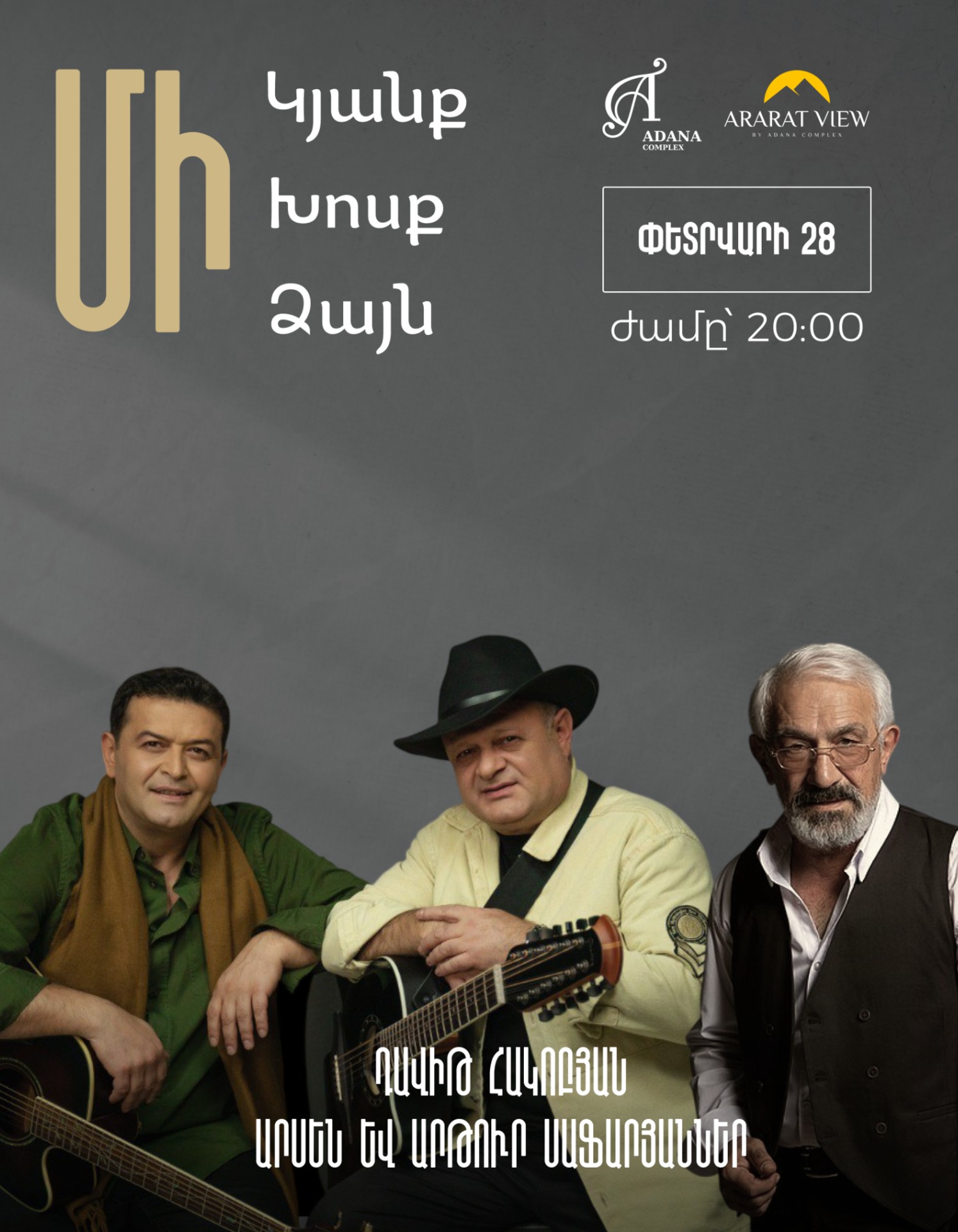 Դավիթ Հակոբյանը եւ Սաֆարյան եղբայրները Adana Complex-ում